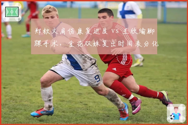 郑钦文肩伤康复进度 vs 王欣瑜脚踝手术，金花双姝复出时间表分化