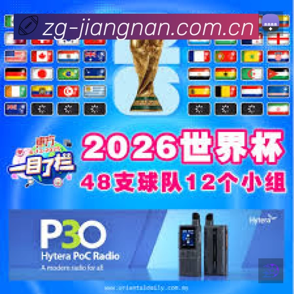奖项证书